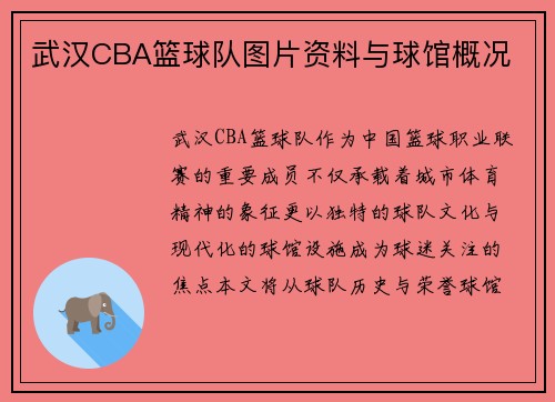 武汉CBA篮球队图片资料与球馆概况